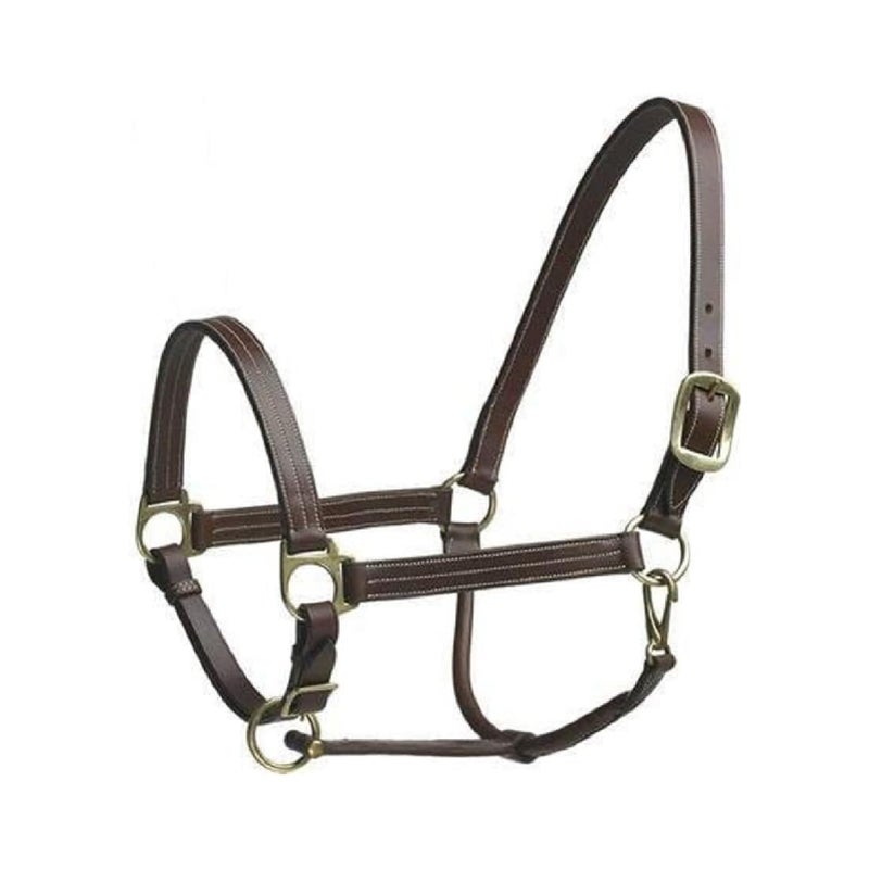 Camelot Leather Stable Halter, Color: Brown, Size: Cob (464283BRN-COB)